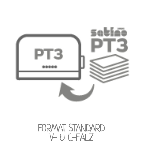 WEPA Satino PT3 kompatibel - Papierhandtücher V-Falz, C-Falz, Standard Format