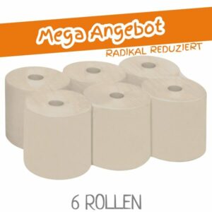 Radikal reduziertes Mega Angebot - 6 Rollen umweltfreundliches Handtuchpapier / Handtuchrollen LAMIX Ellis Ecoline / VPE: 6 Rollen